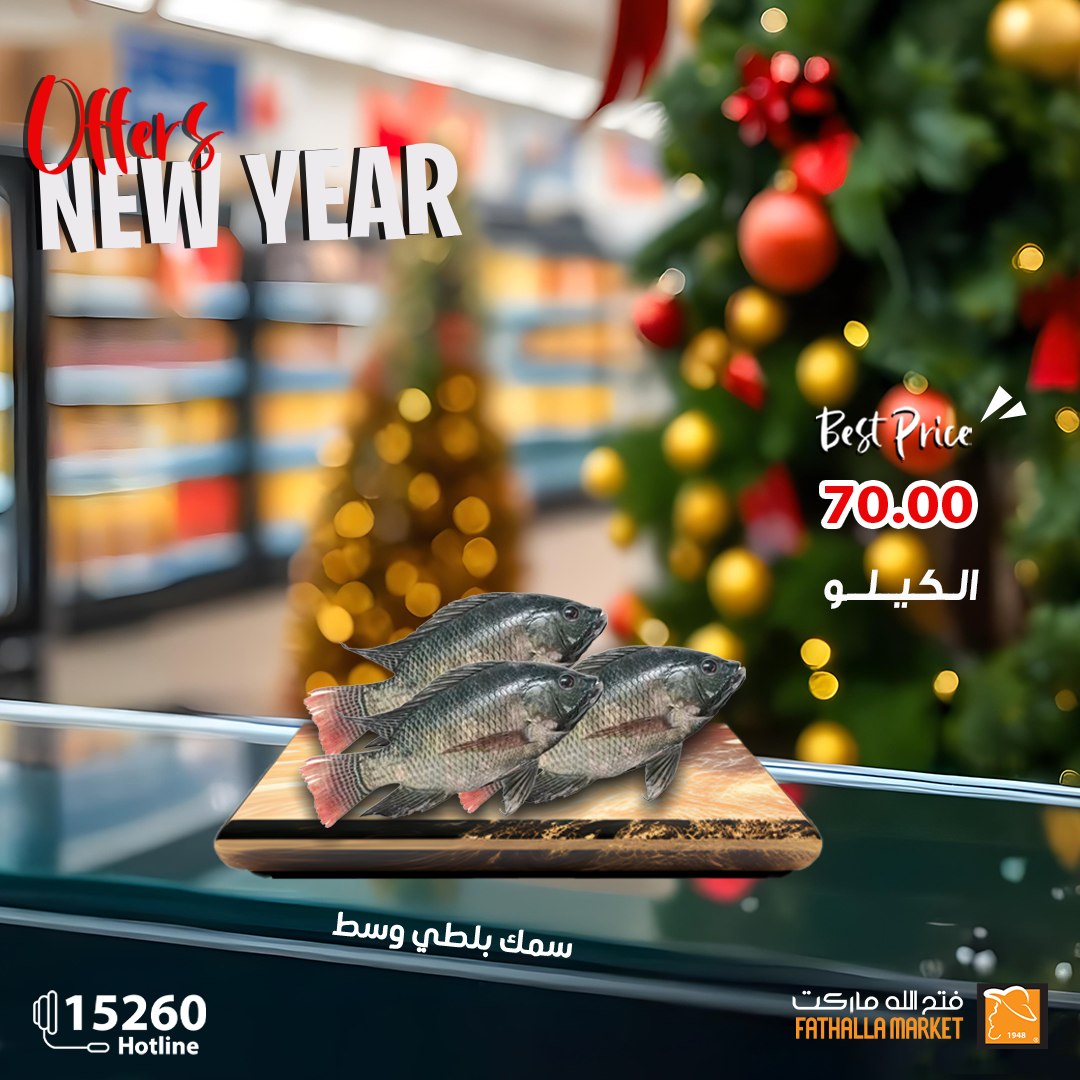 fathalla offers from 28dec to 3jan 2025 عروض فتح الله من 28 ديسمبر حتى 3 يناير 2025 صفحة رقم 1